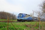 AMTL 1364